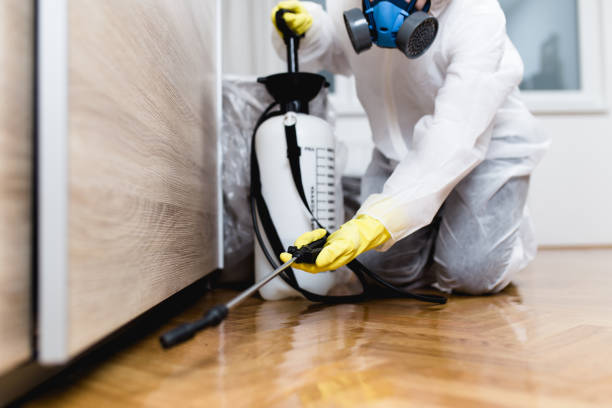 Dillon, MT Pest Control Company