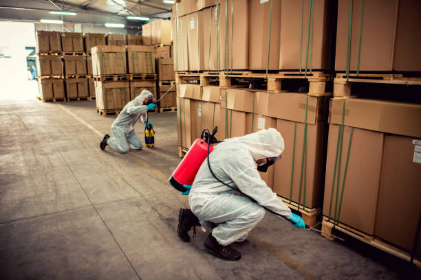 Best Pest Prevention Services  in Dillon, MT