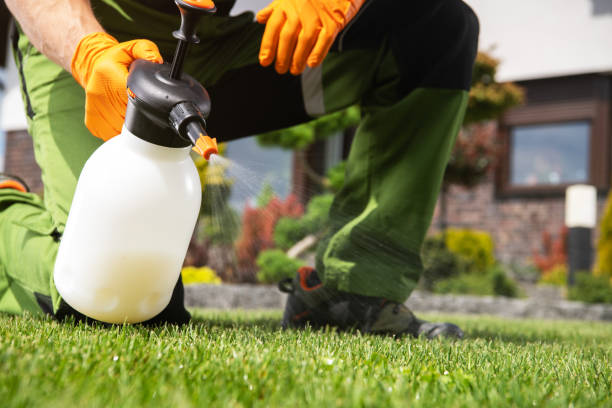 Best Termite Control Services  in Dillon, MT