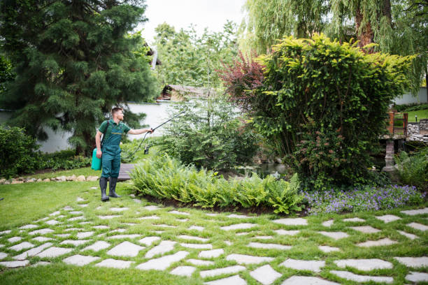 Pest Prevention Services in Dillon, MT