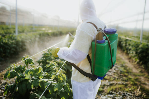 Best Exterminator Services  in Dillon, MT